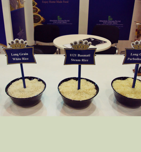Exhibitions Image